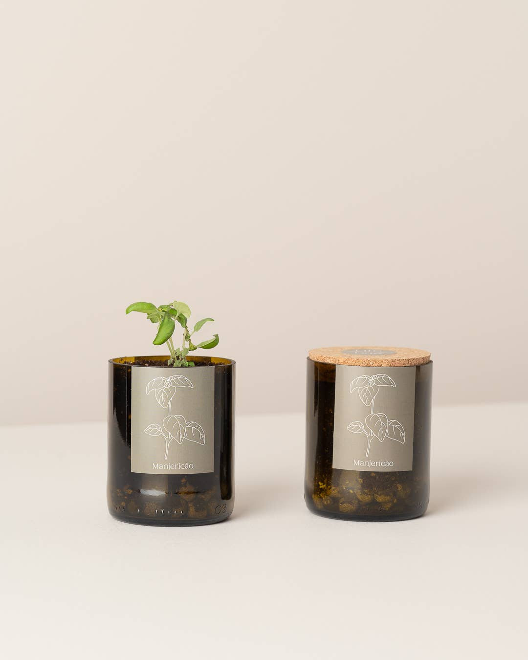 Flaschengarten Basilikum