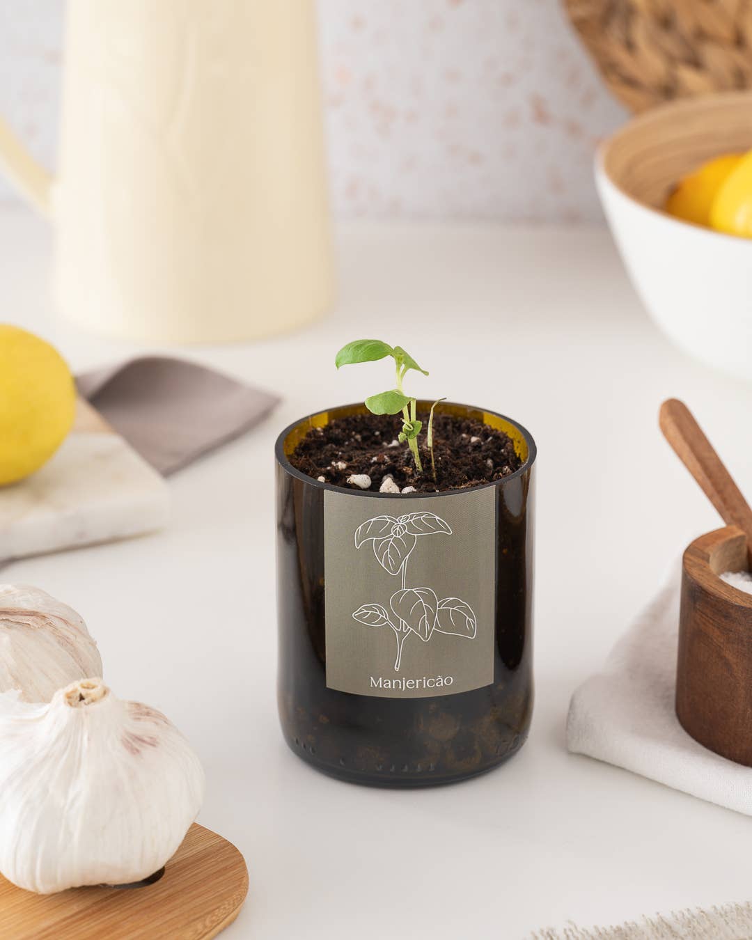 Flaschengarten Basilikum