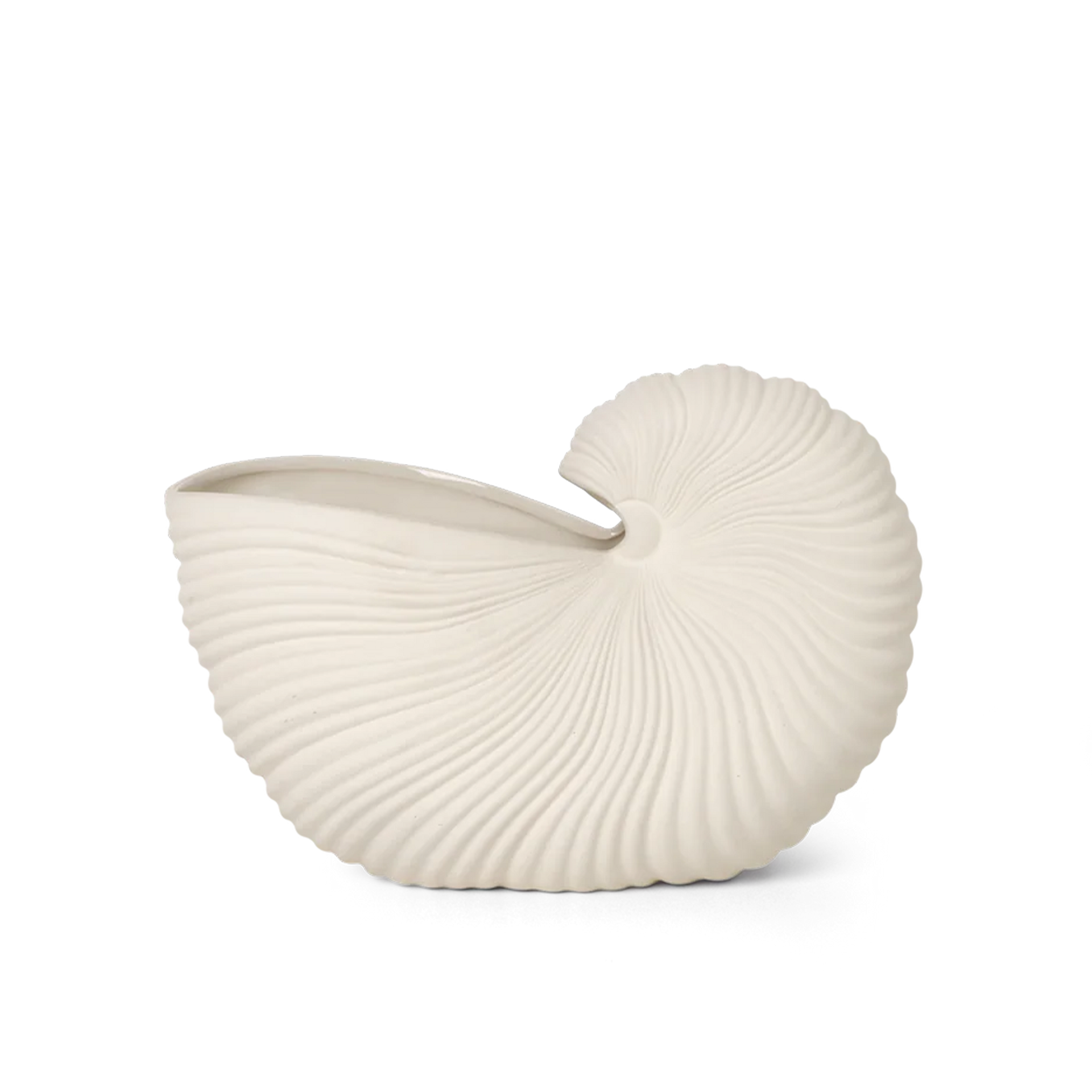 Shell Vase, Off-White
