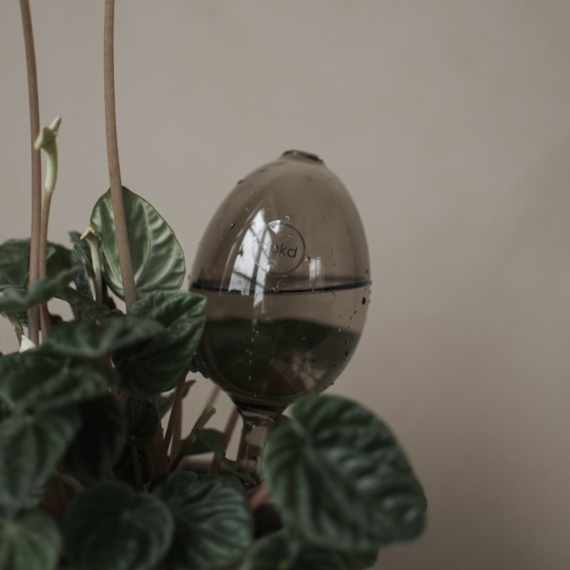 Selbstbewässerer WATERBUBBLE