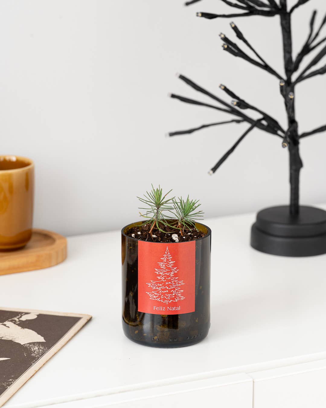 Flaschengarten Frohe Weihnachten