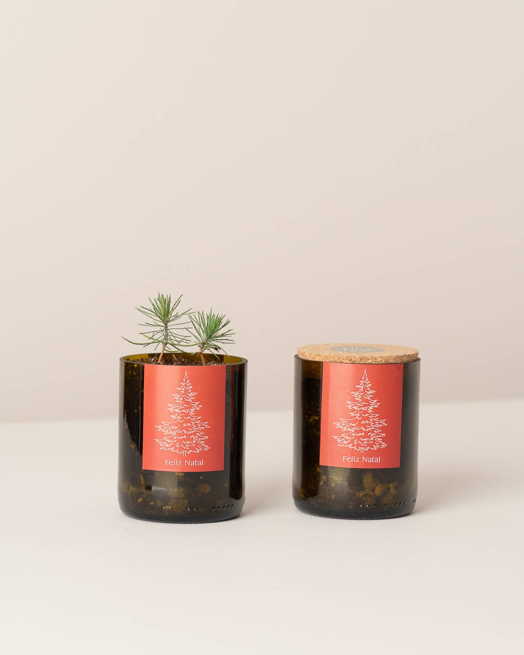 Flaschengarten Frohe Weihnachten