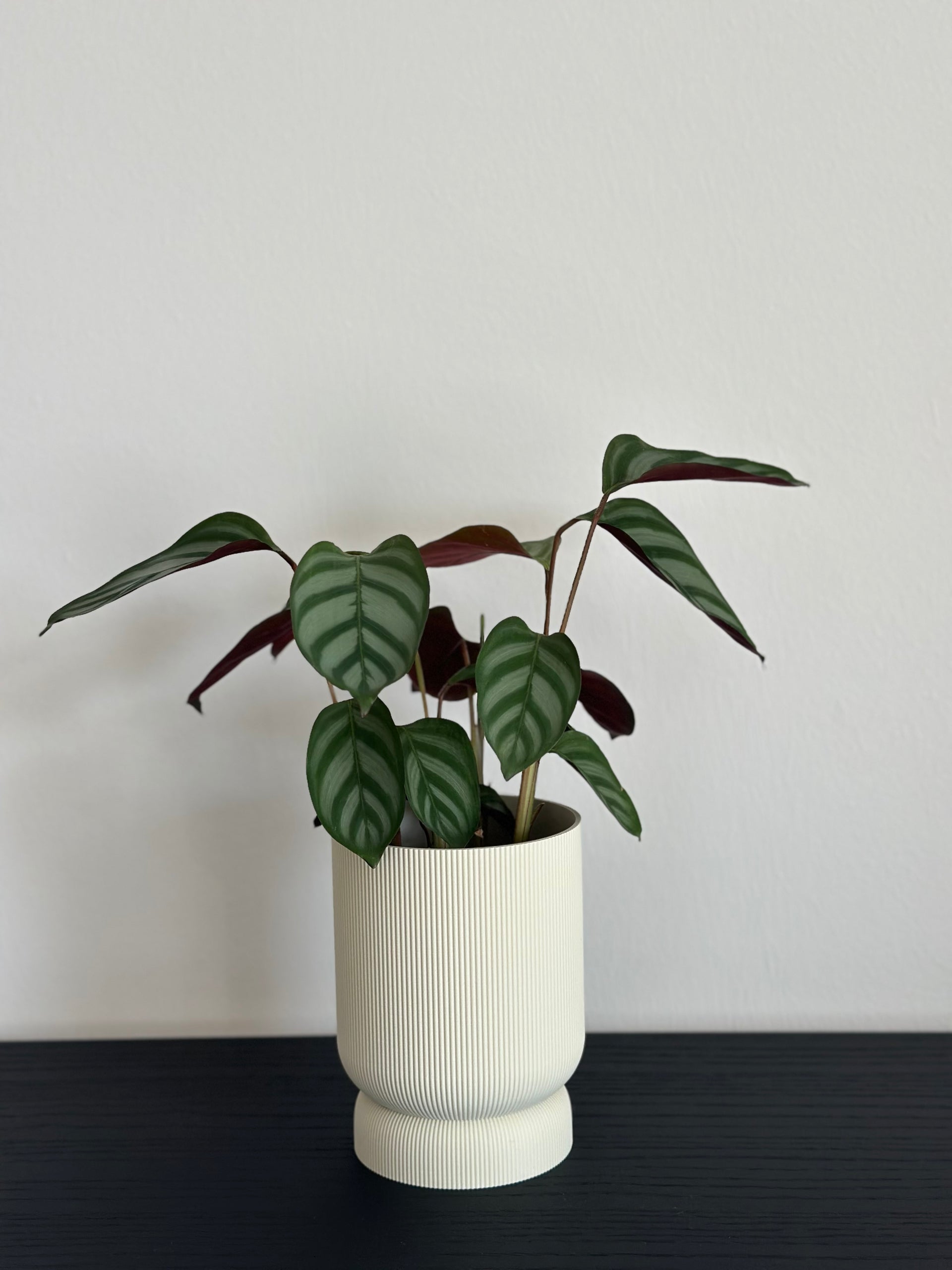 Blumentopf RIFFLE klein