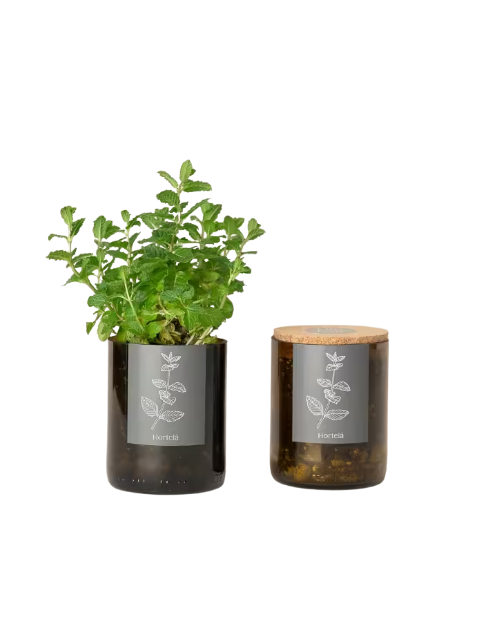 Flaschengarten MINZE