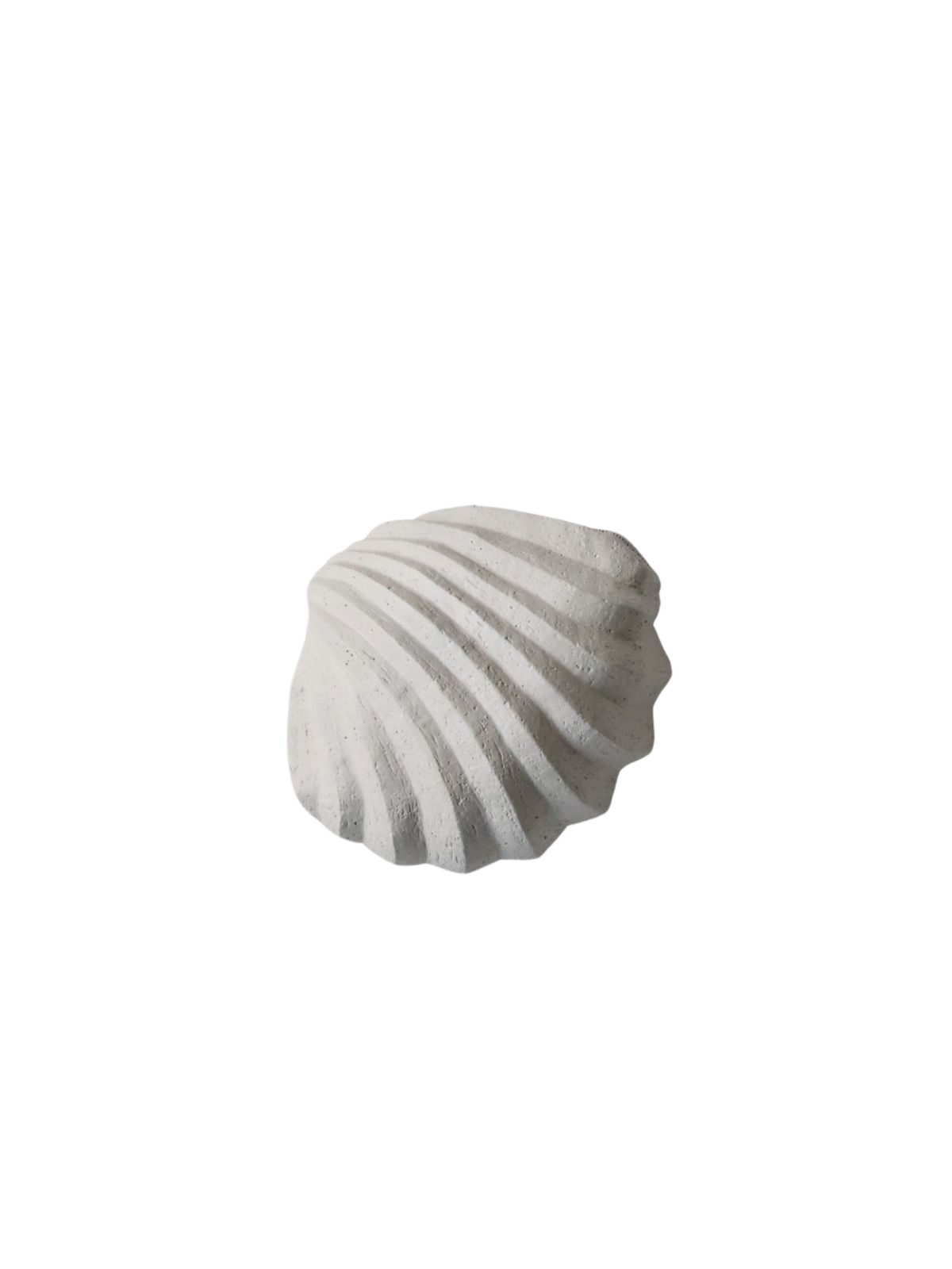 Skulptur und Schale THE CLAM SHELL