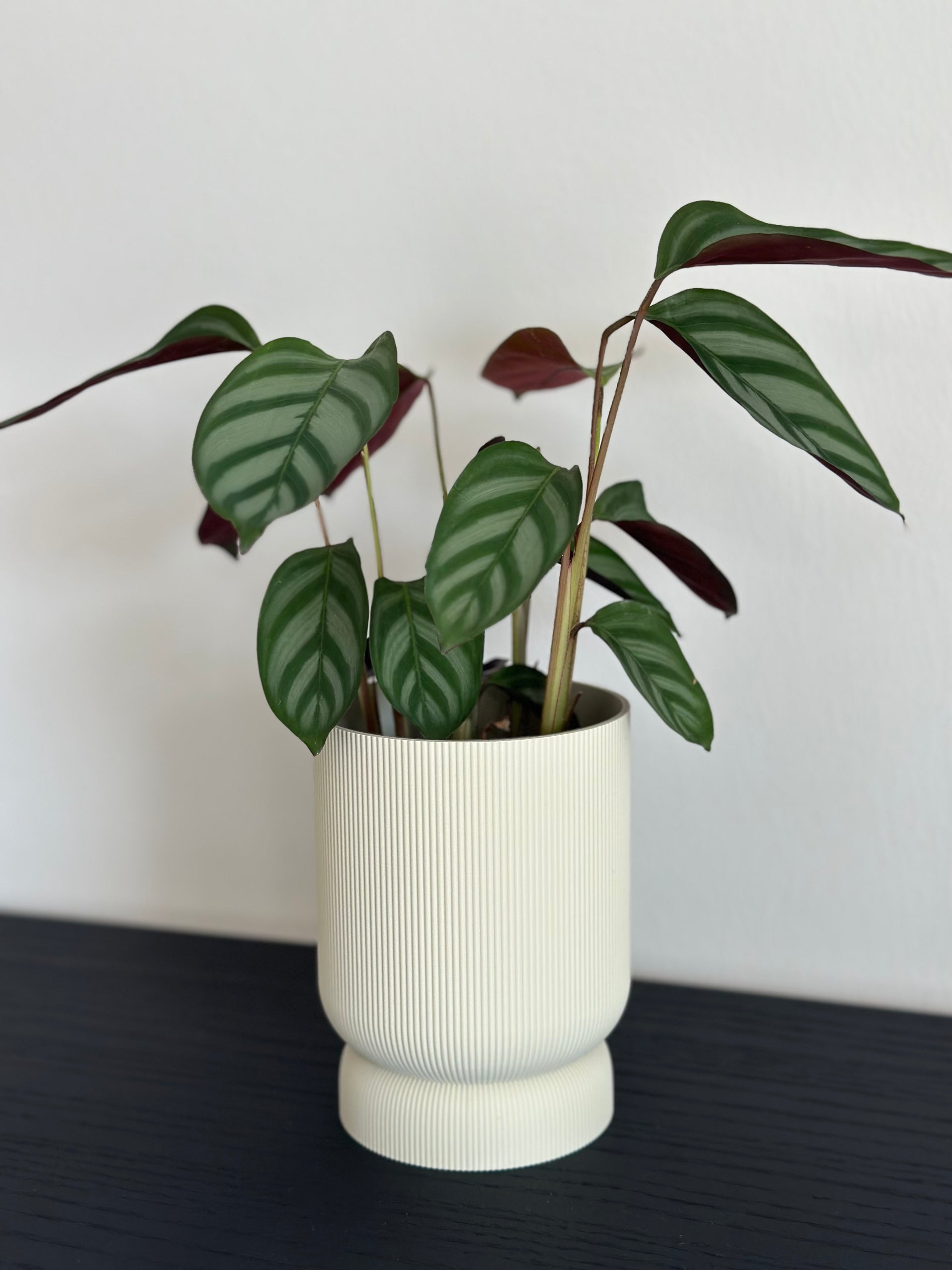 Blumentopf RIFFLE klein