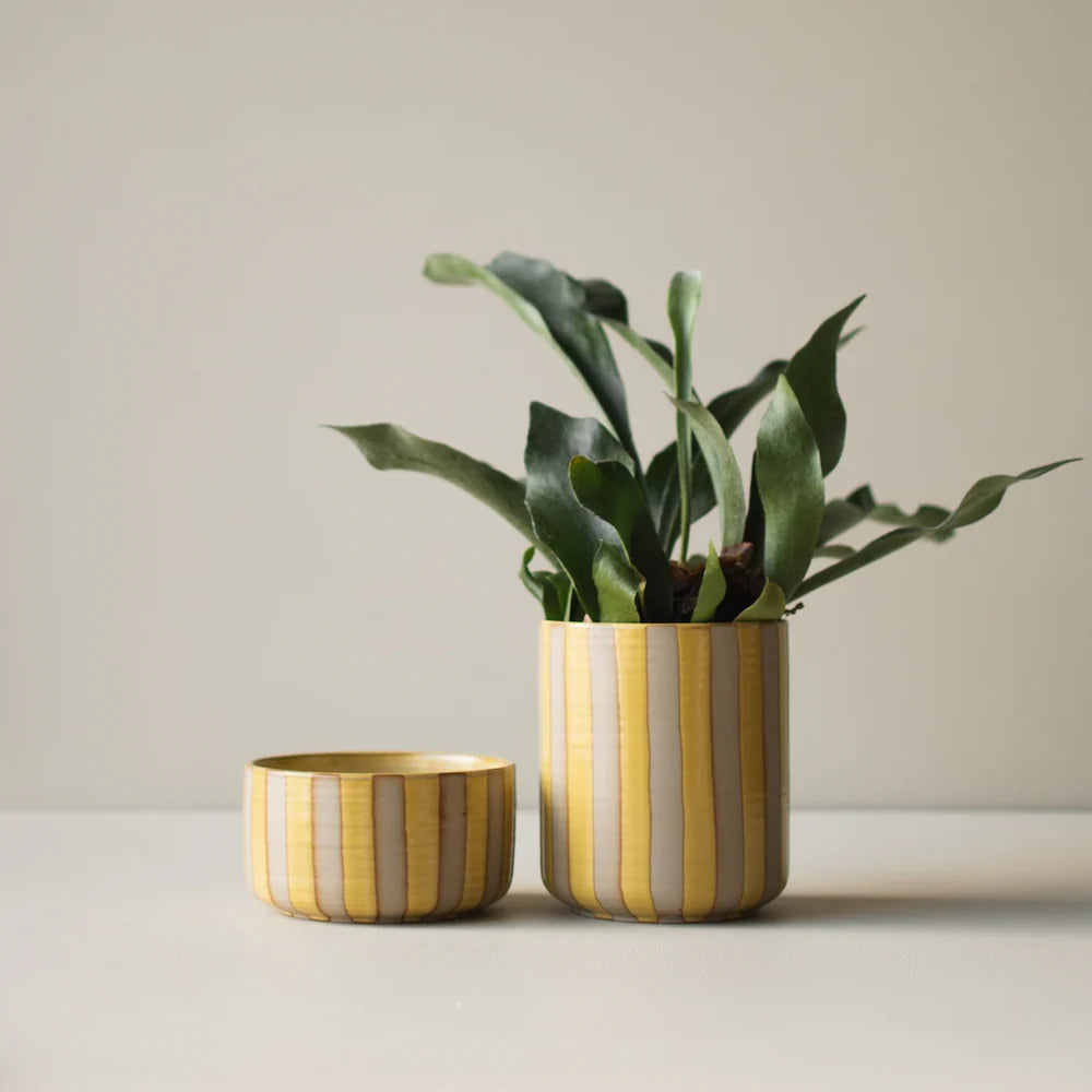 Line Bowl STRIPE YELLOW